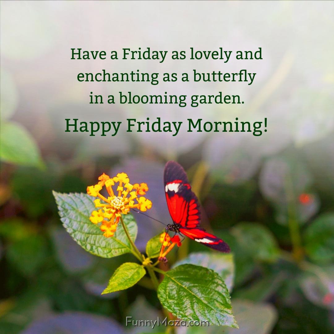 Have a Friday as lovely and enchanting as a butterfly in