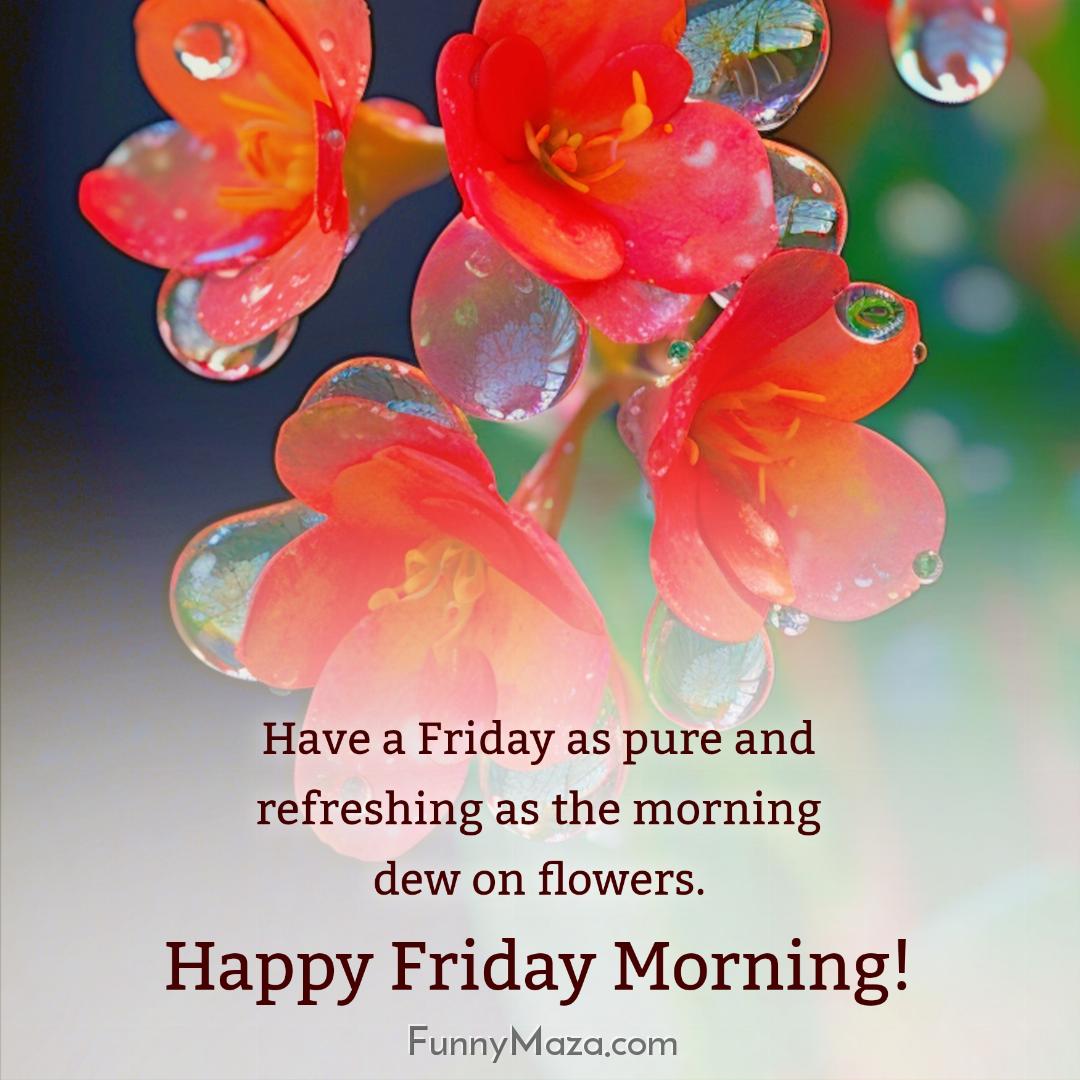 Have a Friday as pure and refreshing as the morning dew