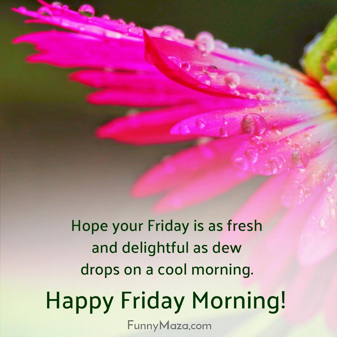 Hope your Friday is as fresh and delightful as dew drops