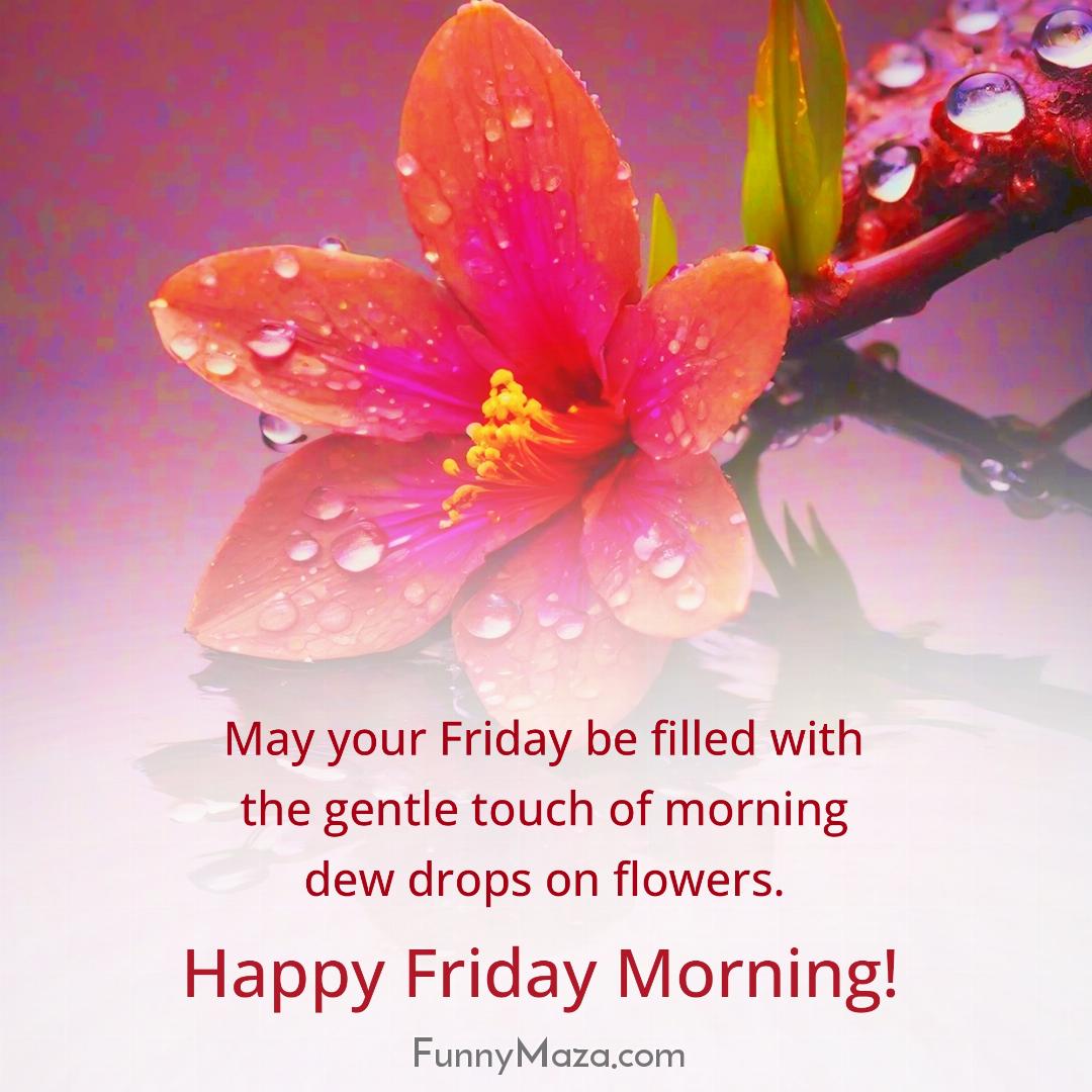 May your Friday be filled with the gentle touch of morning