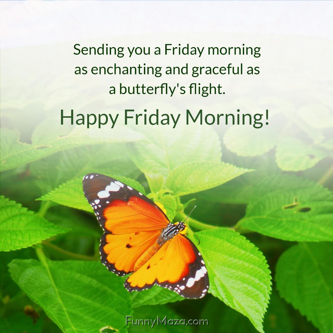 Sending you a Friday morning as enchanting and graceful as a