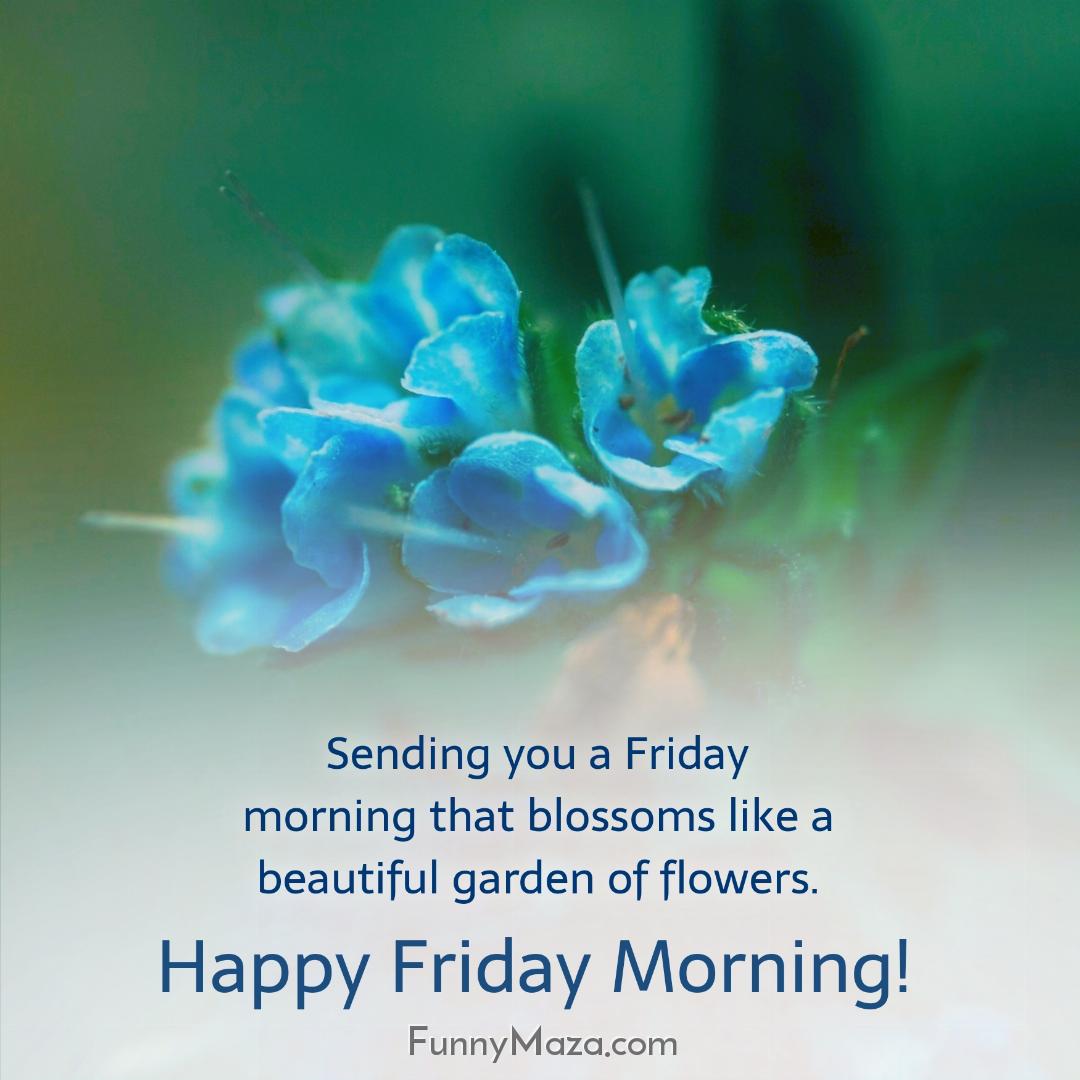 Sending you a Friday morning that blossoms like a beautiful garden