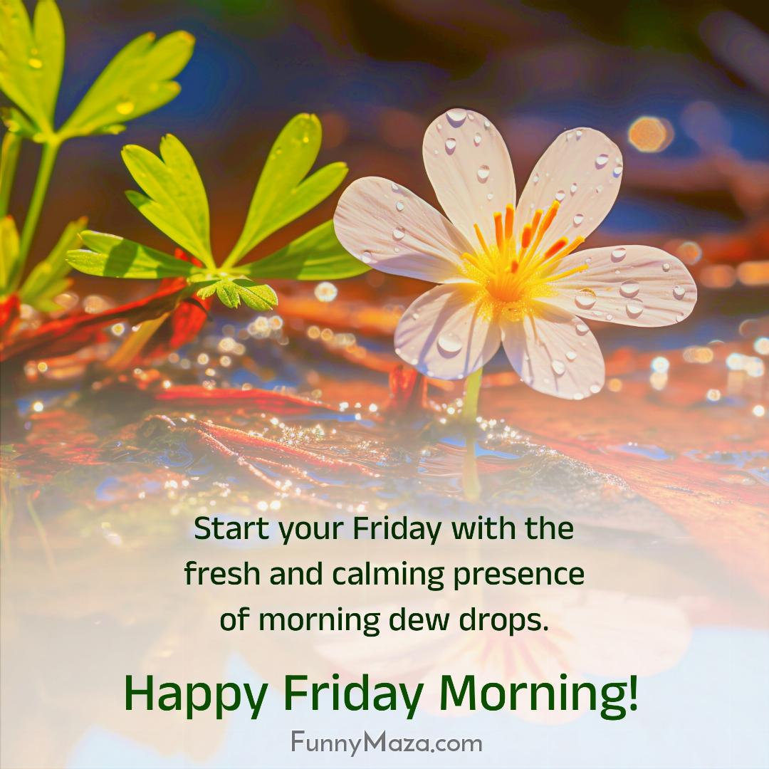 Start your Friday with the fresh and calming presence of morning