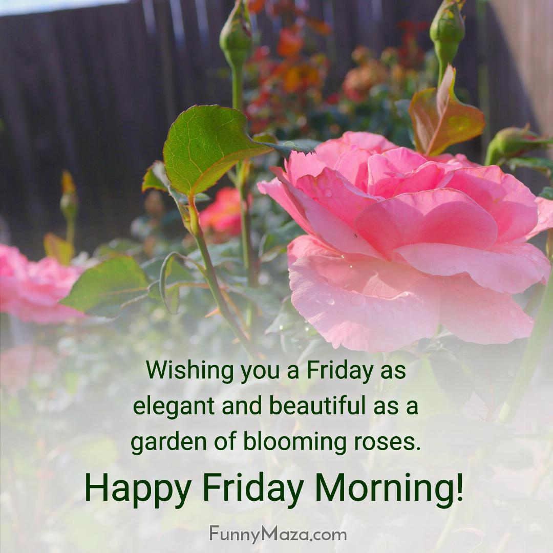 Wishing you a Friday as elegant and beautiful as a garden