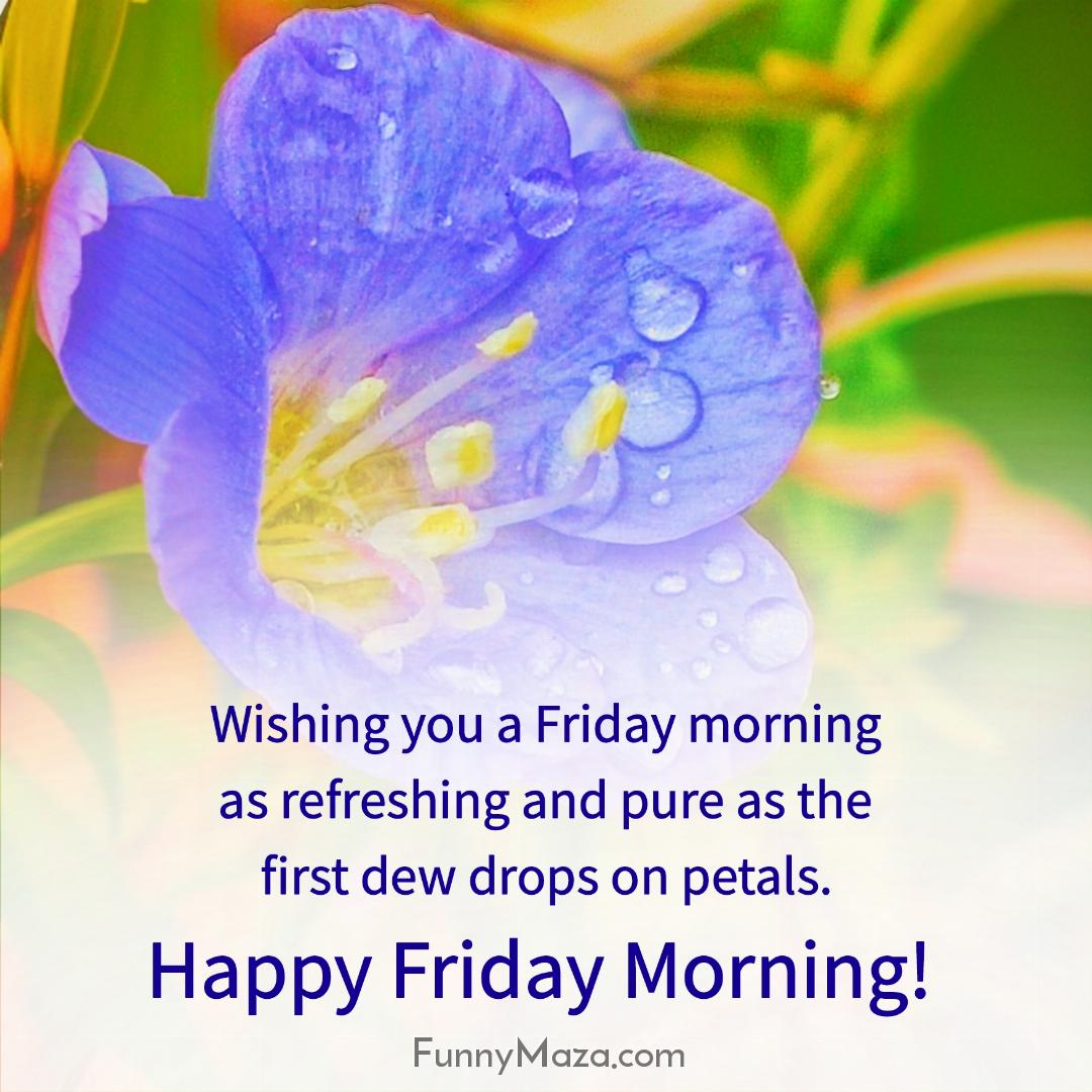 Wishing you a Friday morning as refreshing and pure as the