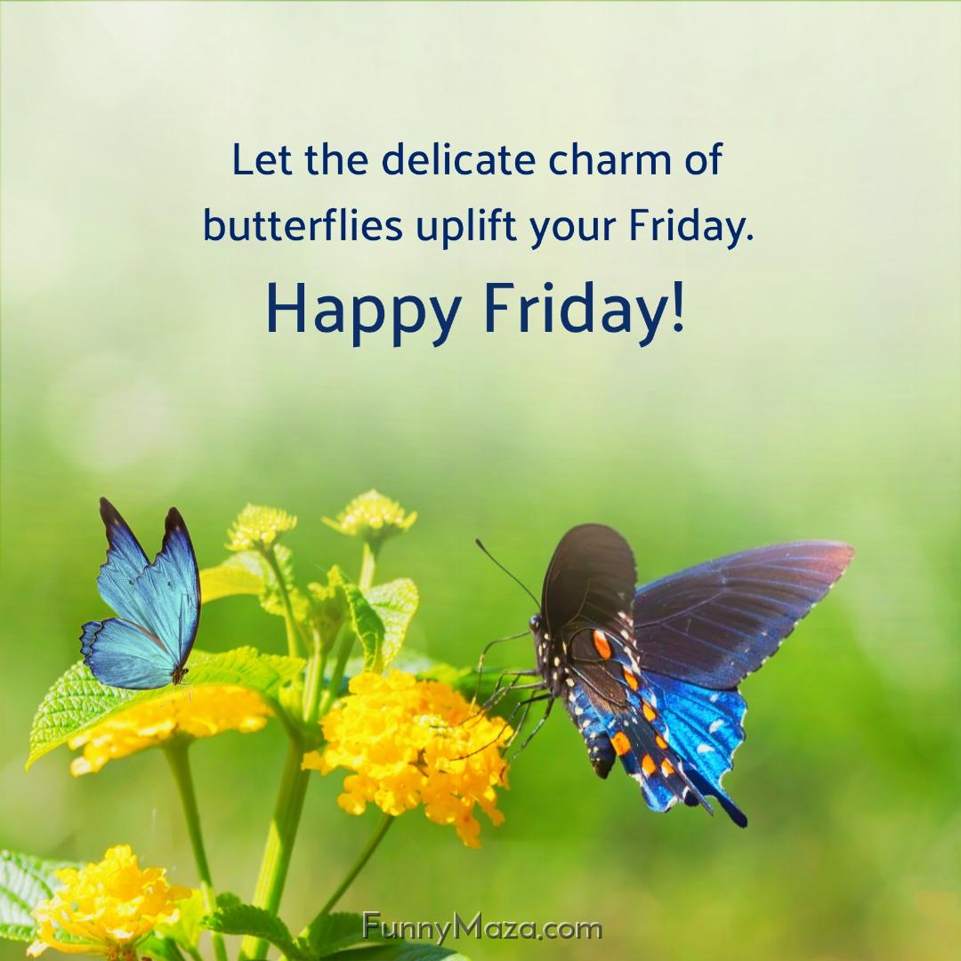 Let the delicate charm of butterflies uplift your Friday