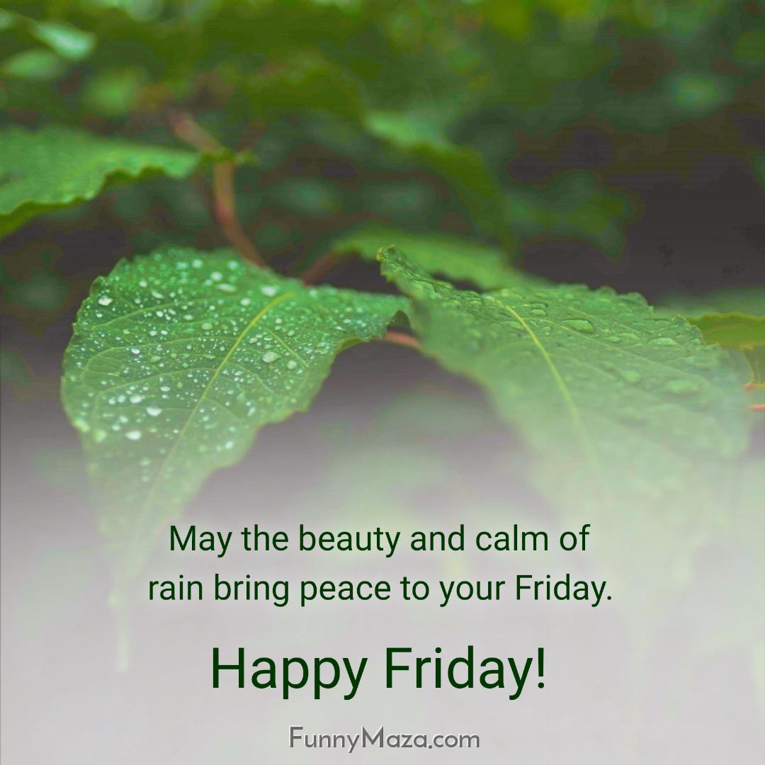 May the beauty and calm of rain bring peace to your