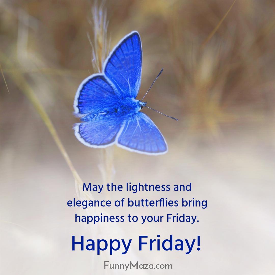 May the lightness and elegance of butterflies bring happiness to your