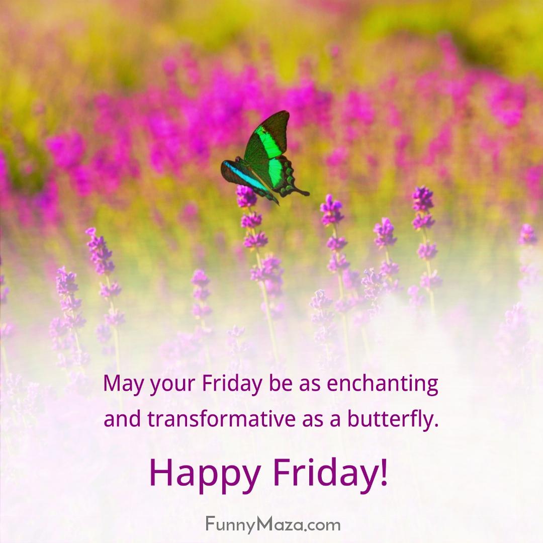 May your Friday be as enchanting and transformative as a butterfly