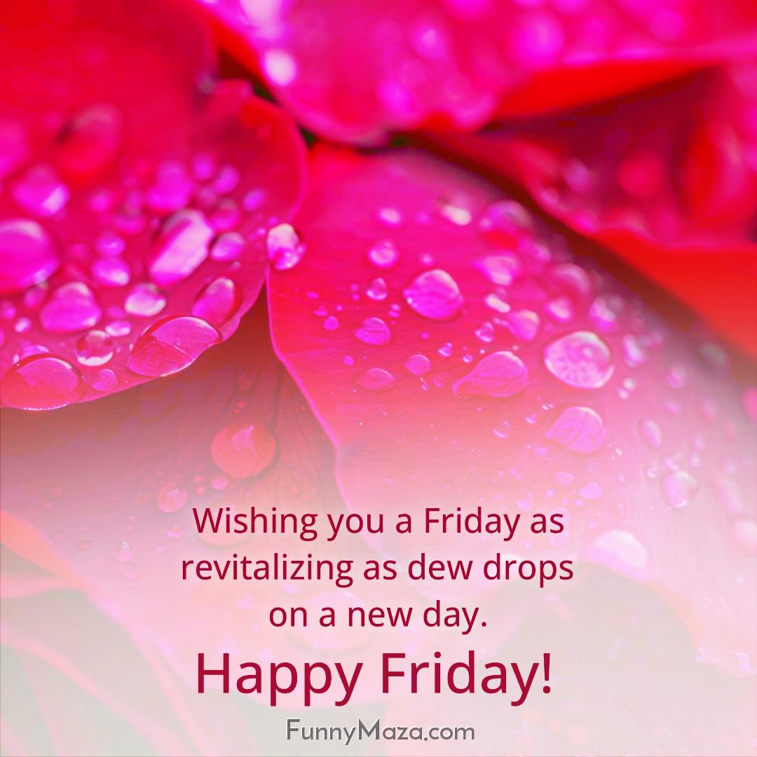 Wishing you a Friday as revitalizing as dew drops on a