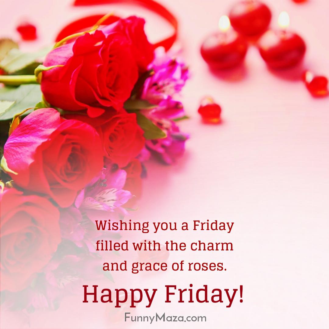 Wishing you a Friday filled with the charm and grace of