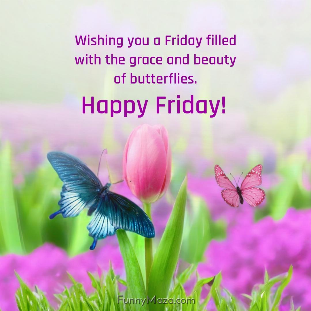 Wishing you a Friday filled with the grace and beauty of