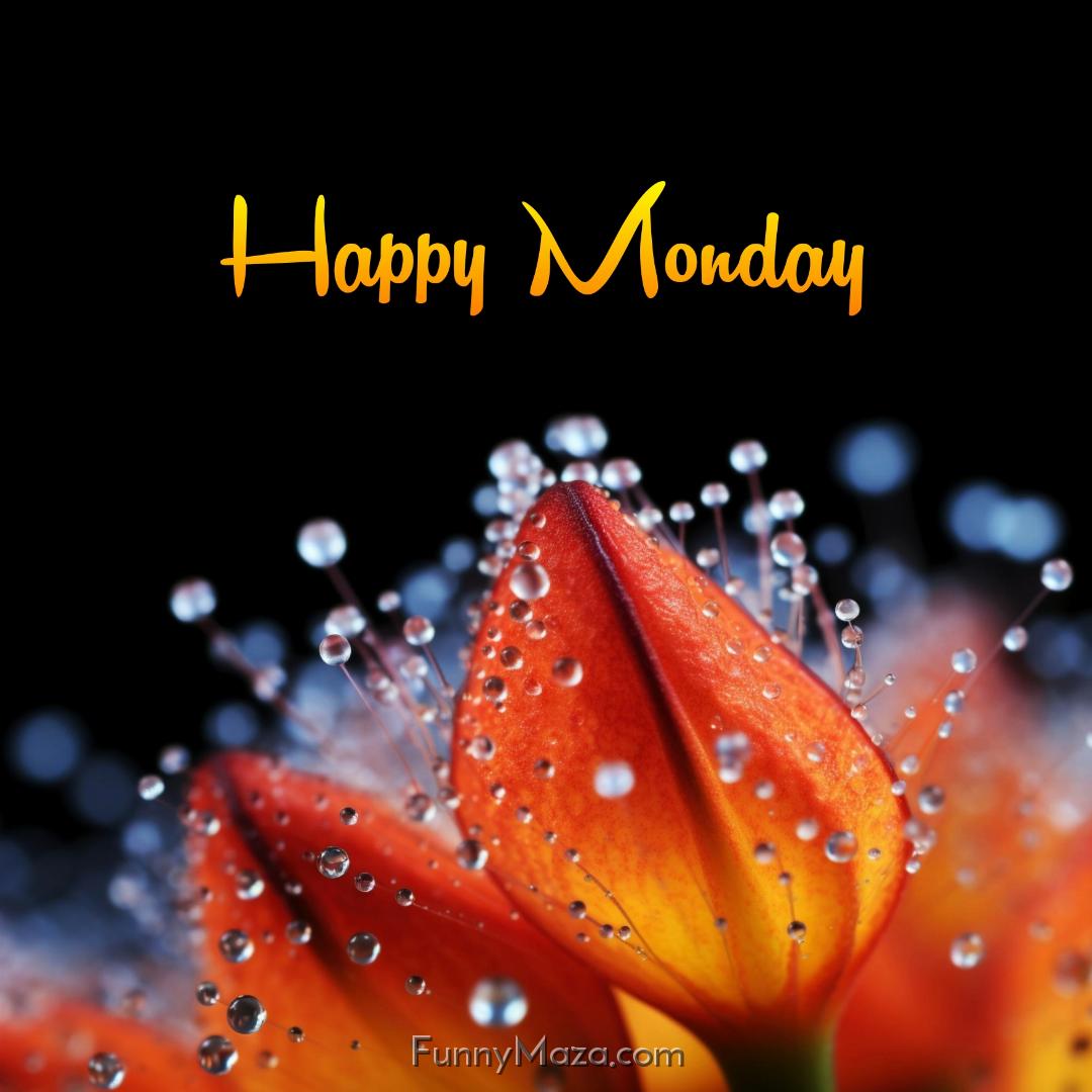 Happy Monday Dew Drops 2024 Images