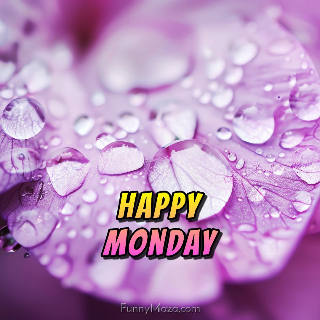 Happy Monday Dew Drops Images