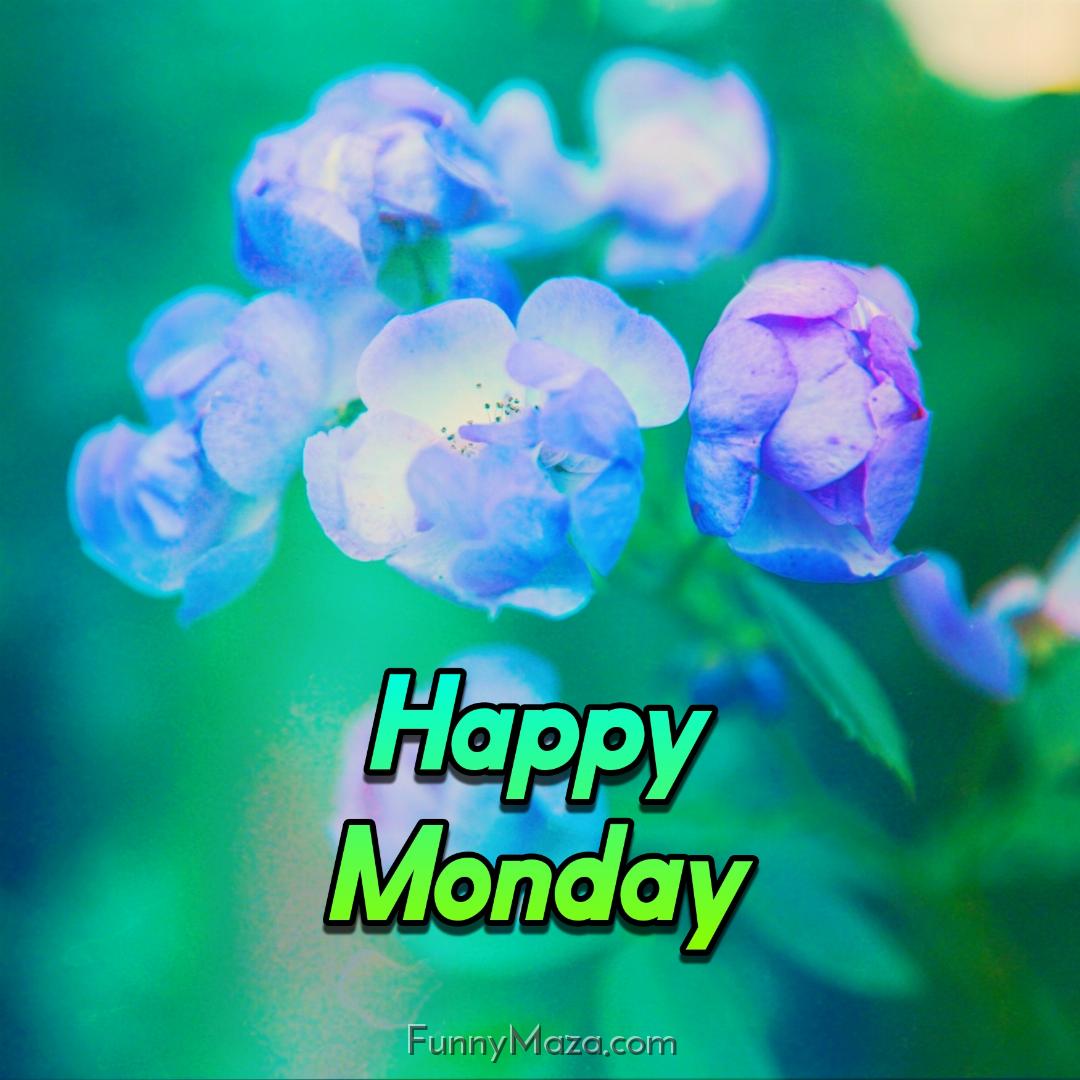 Happy Monday Flowers Wallpaper