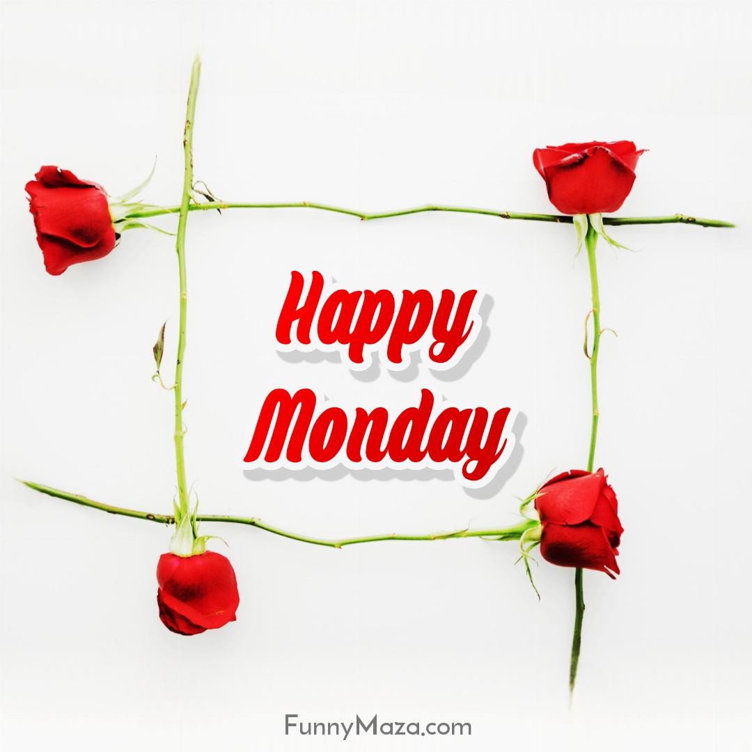 Happy Monday Rose Love 2024 Images