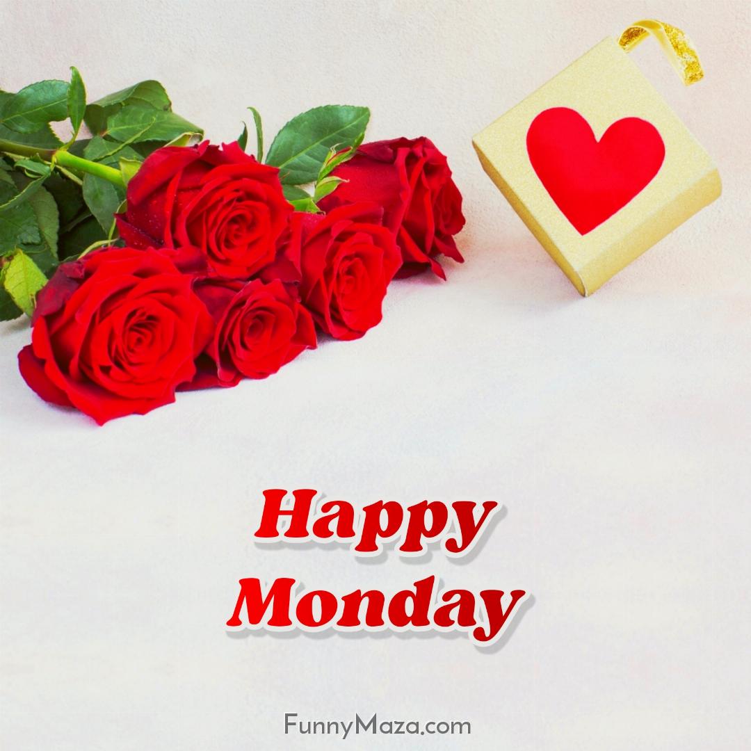 Happy Monday Rose Love Images