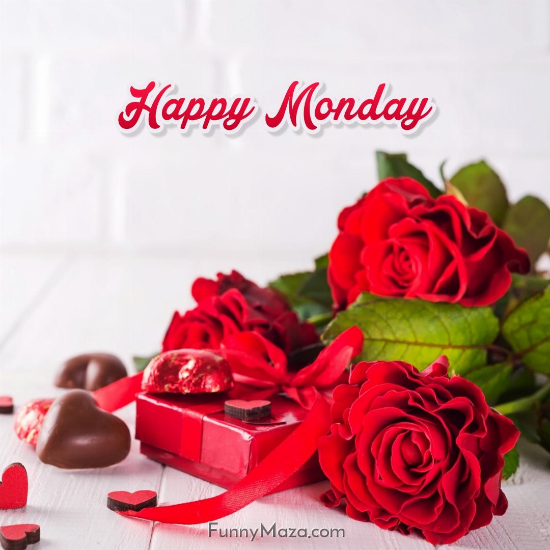 New Happy Monday Rose Love Images 2024 HD Download