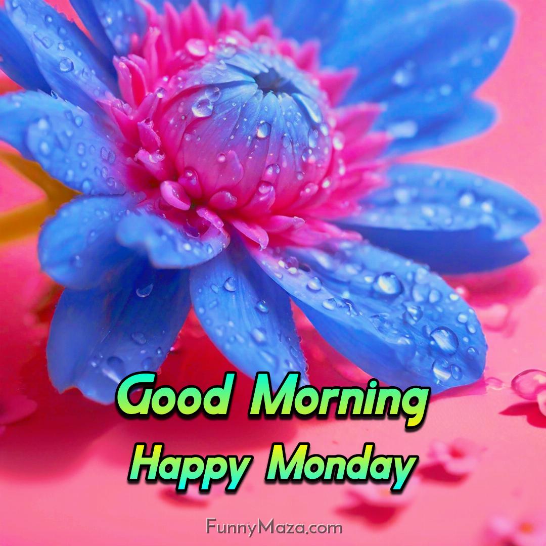 Good Morning Happy Monday Dew Drops 2024 Images