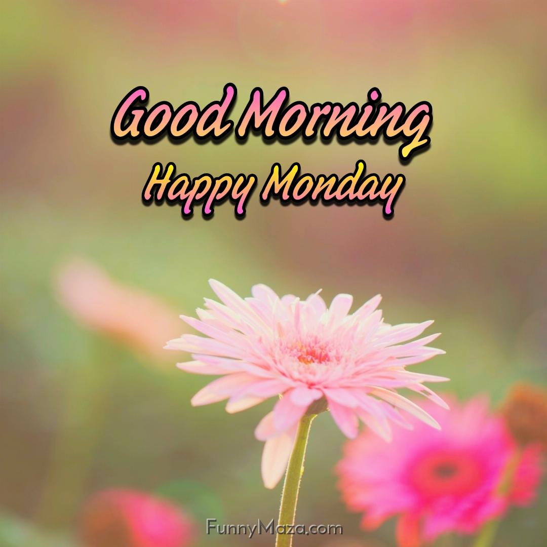 Good Morning Happy Monday Flowers 2024 Images