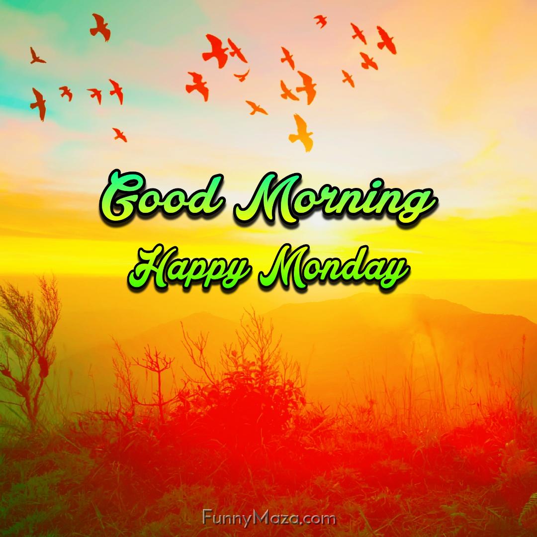 Good Morning Happy Monday Nature 2024 Images