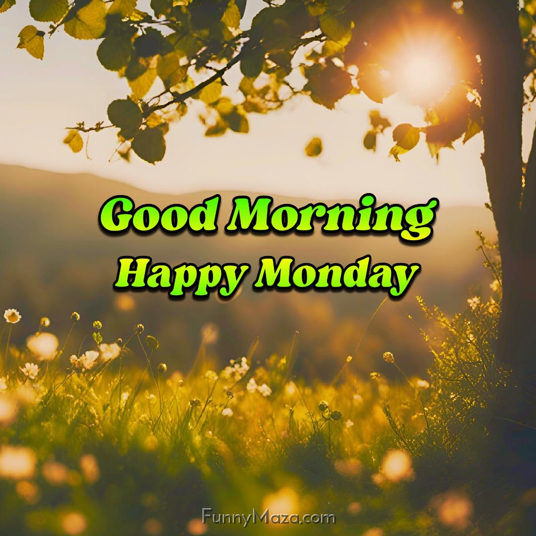 Good Morning Happy Monday Nature Wallpaper