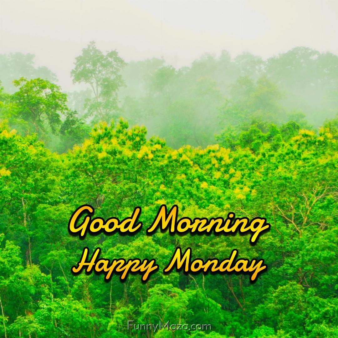 Good Morning Happy Monday Rainy 2024 Images