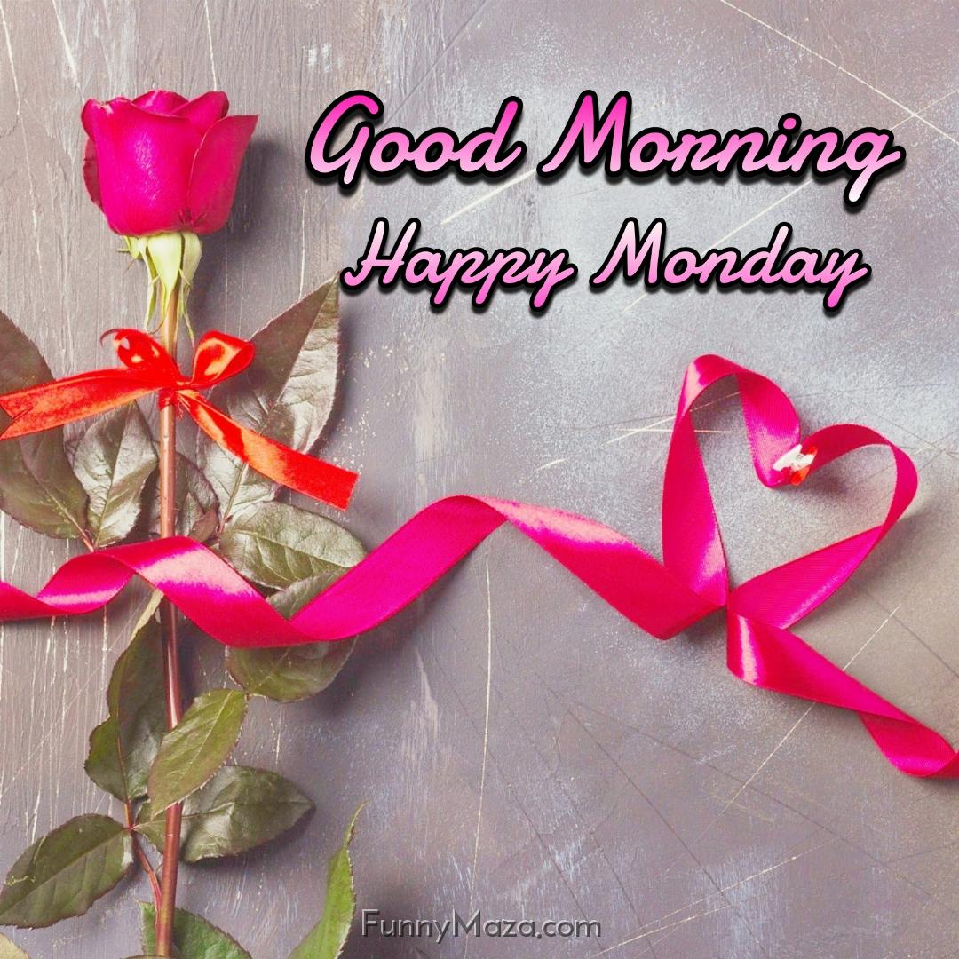 Good Morning Happy Monday Rose Love Images