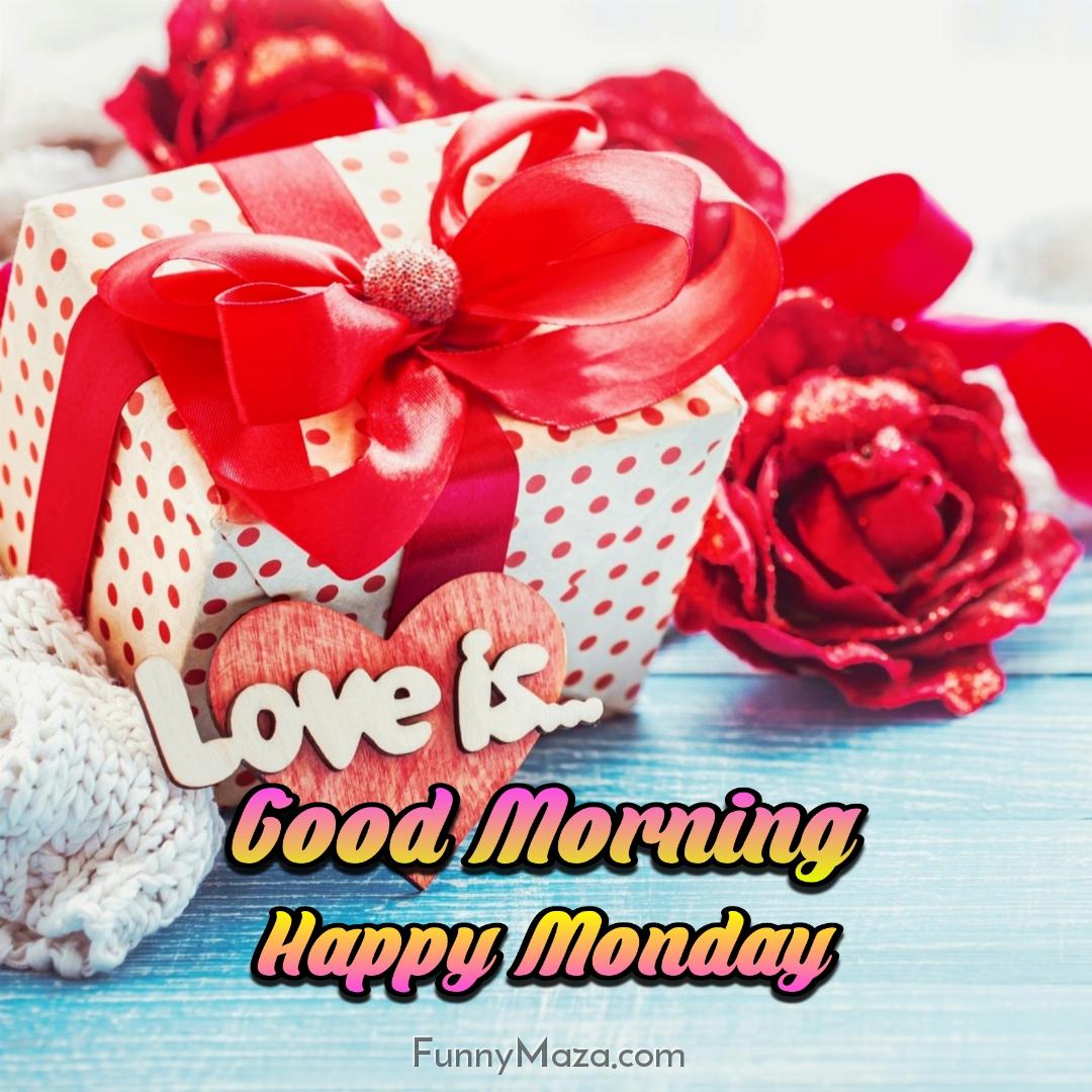 New Good Morning Happy Monday Rose Love Images 2024 HD Download