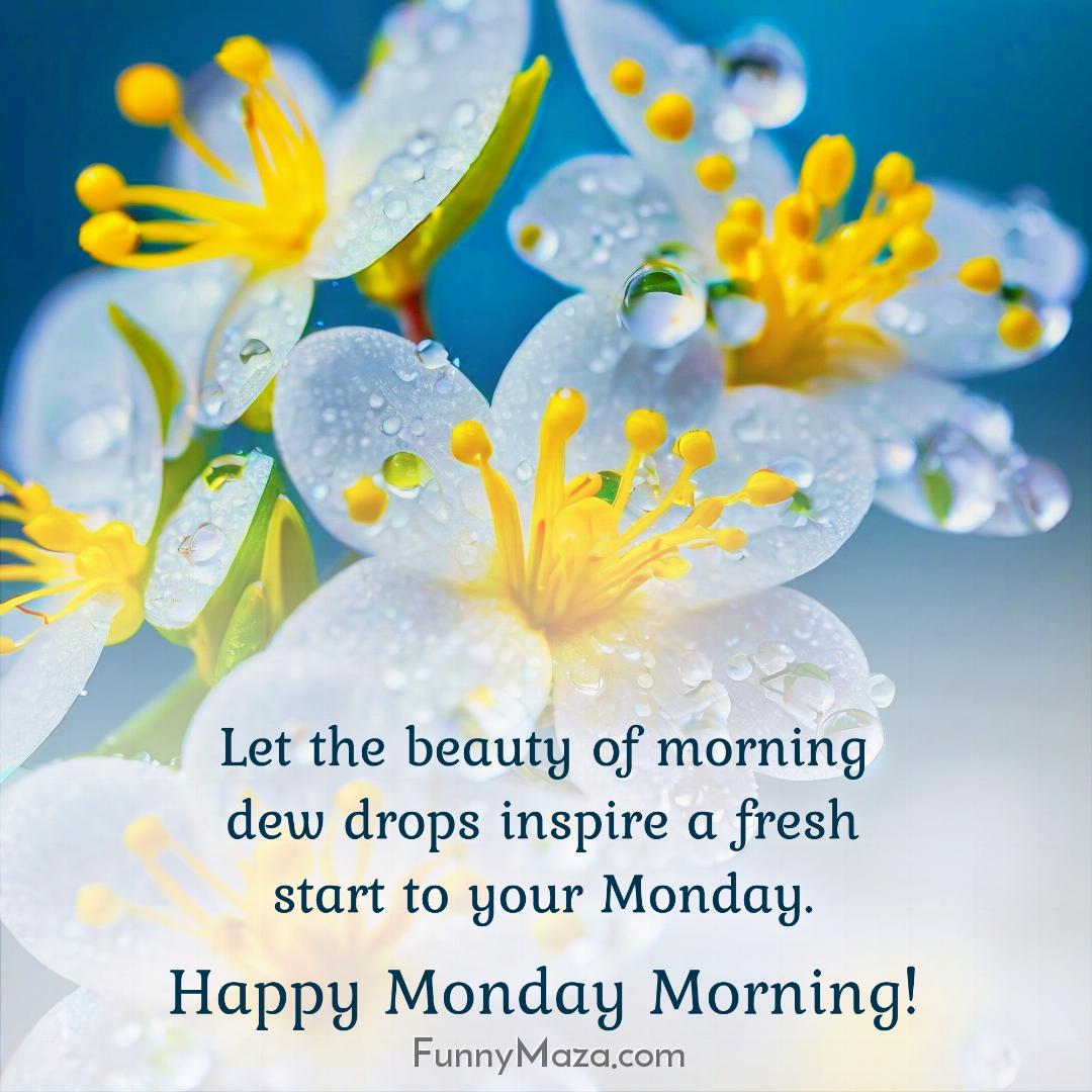 Let the beauty of morning dew drops inspire a fresh start