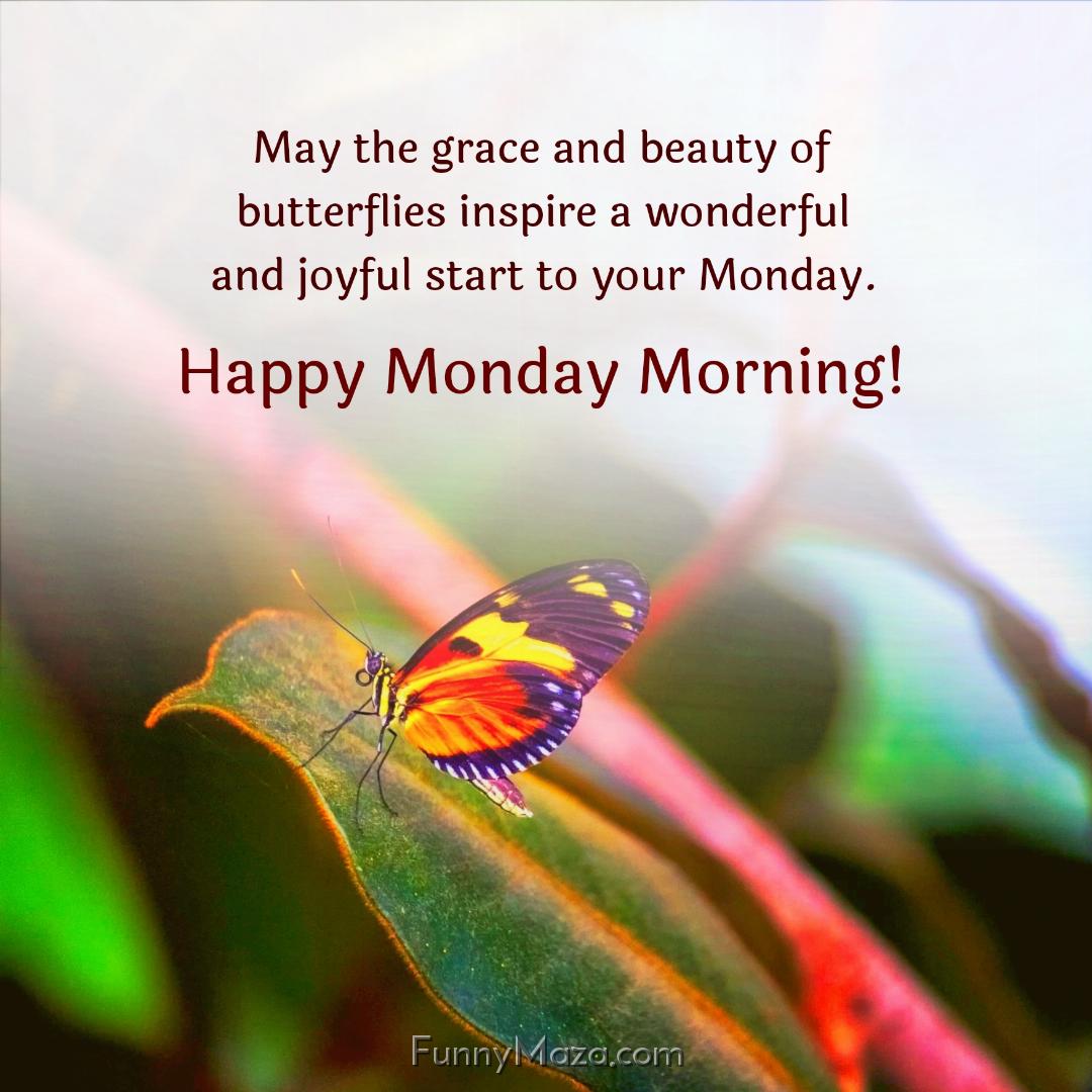 May the grace and beauty of butterflies inspire a wonderful and