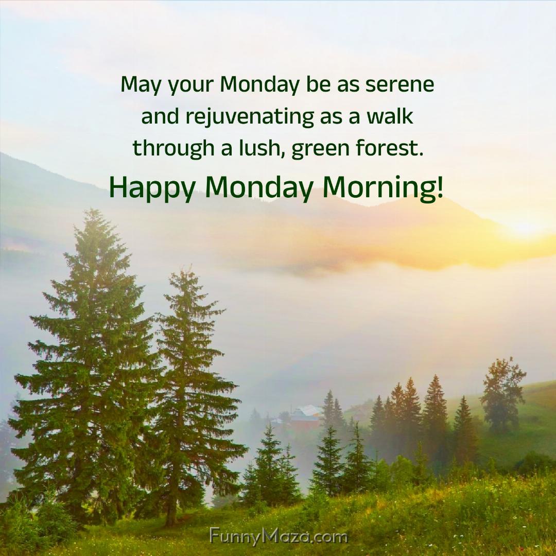 May your Monday be as serene and rejuvenating as a walk