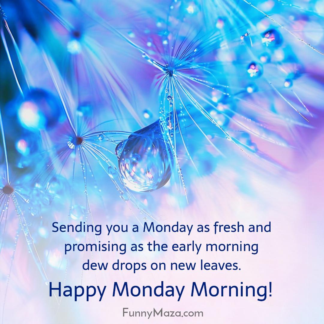 Sending you a Monday as fresh and promising as the early