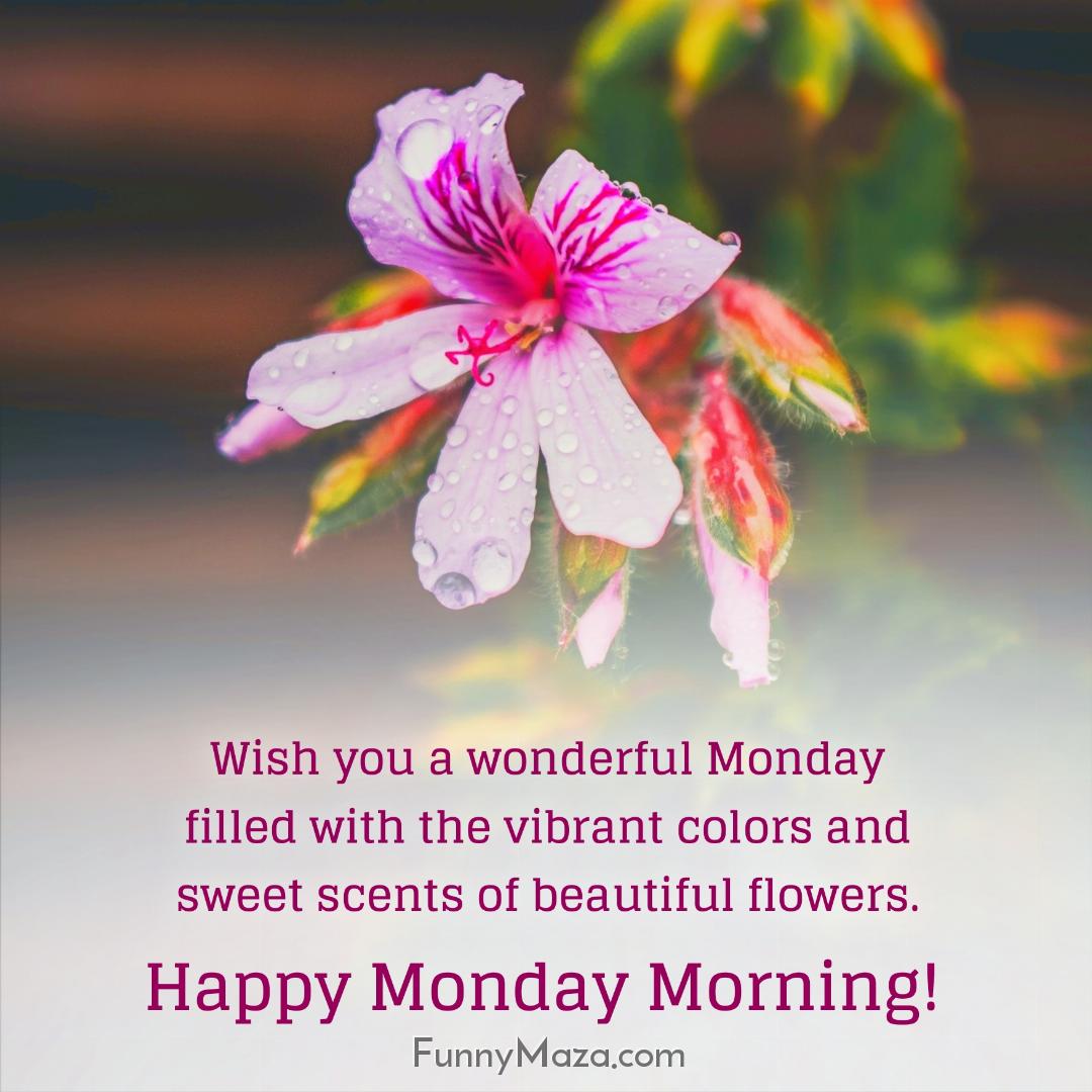 Wish you a wonderful Monday filled with the vibrant colors and