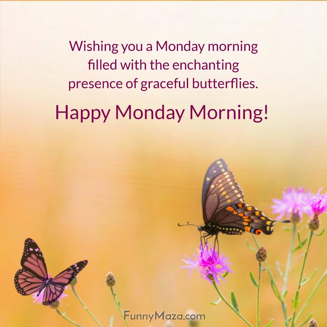 Wishing you a Monday morning filled with the enchanting presence of