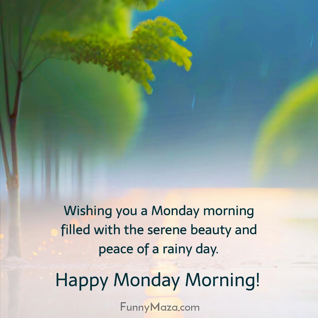 Wishing you a Monday morning filled with the serene beauty and