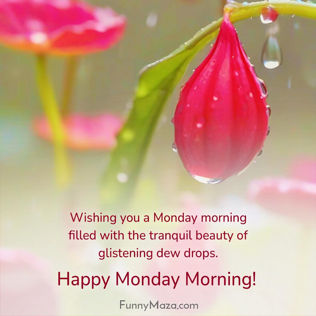 Wishing you a Monday morning filled with the tranquil beauty of