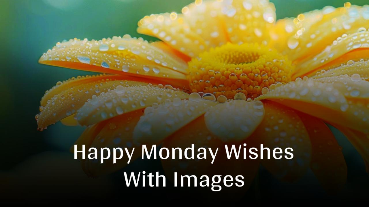 Beautiful Happy Monday Wishes With Images