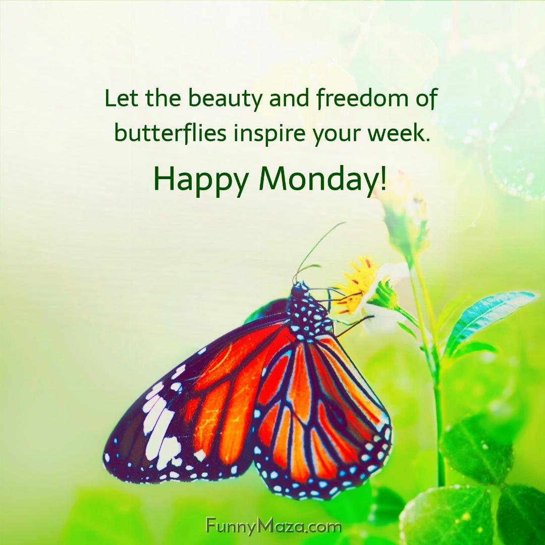 Let the beauty and freedom of butterflies inspire your week