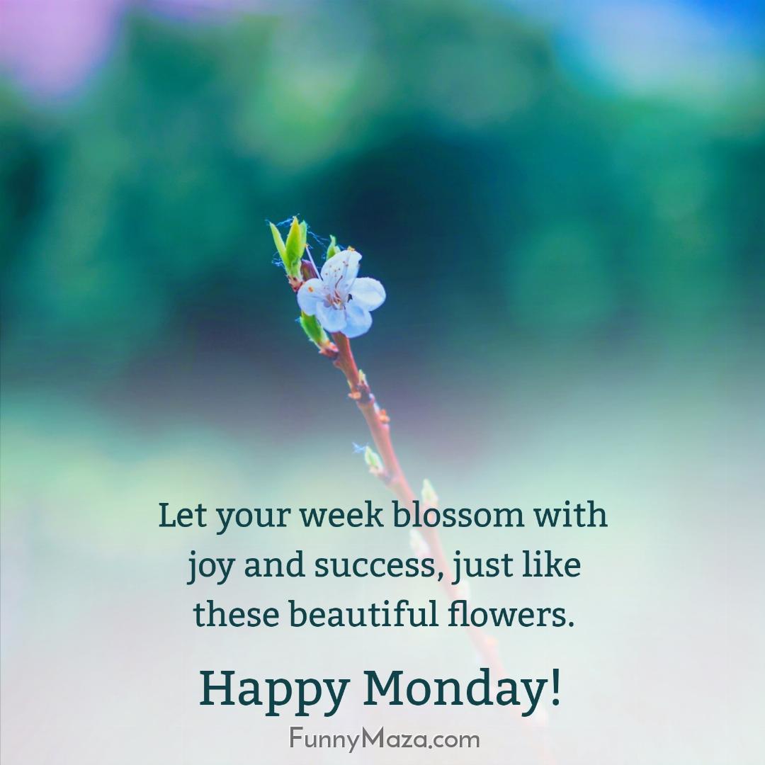 Let your week blossom with joy and success just like these