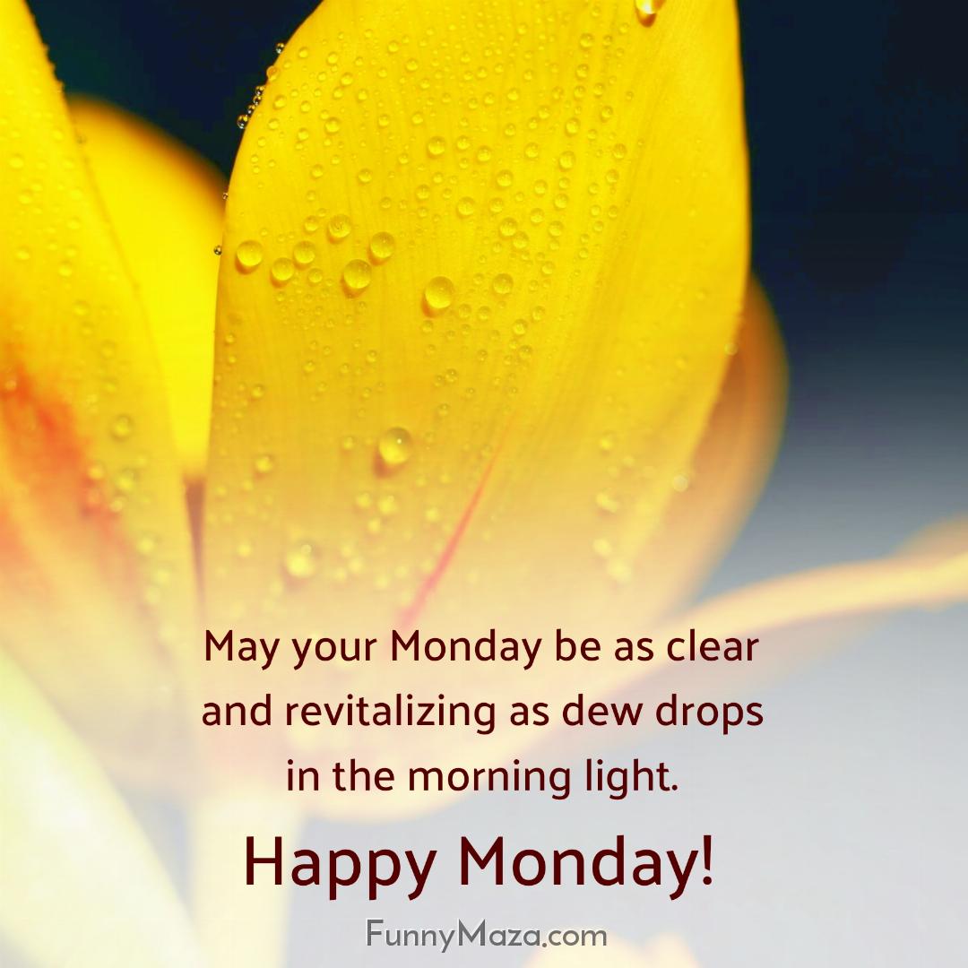 May your Monday be as clear and revitalizing as dew drops