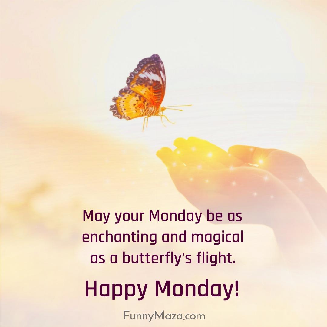 May your Monday be as enchanting and magical as a butterfly's