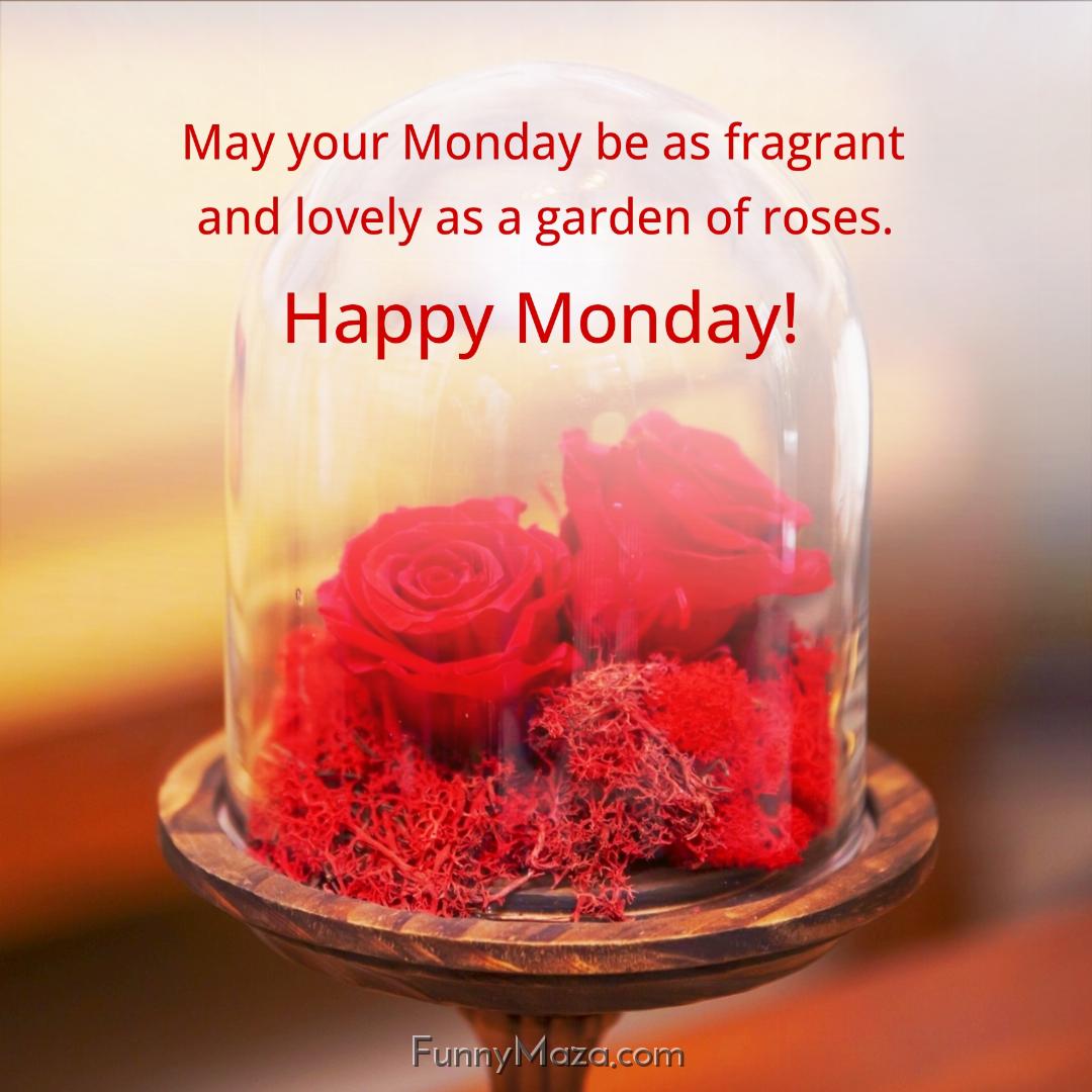 May your Monday be as fragrant and lovely as a garden