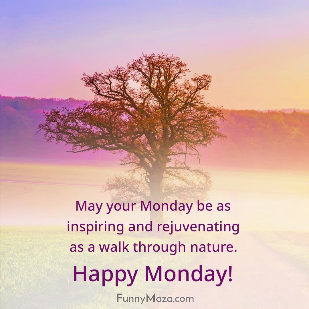 May your Monday be as inspiring and rejuvenating as a walk