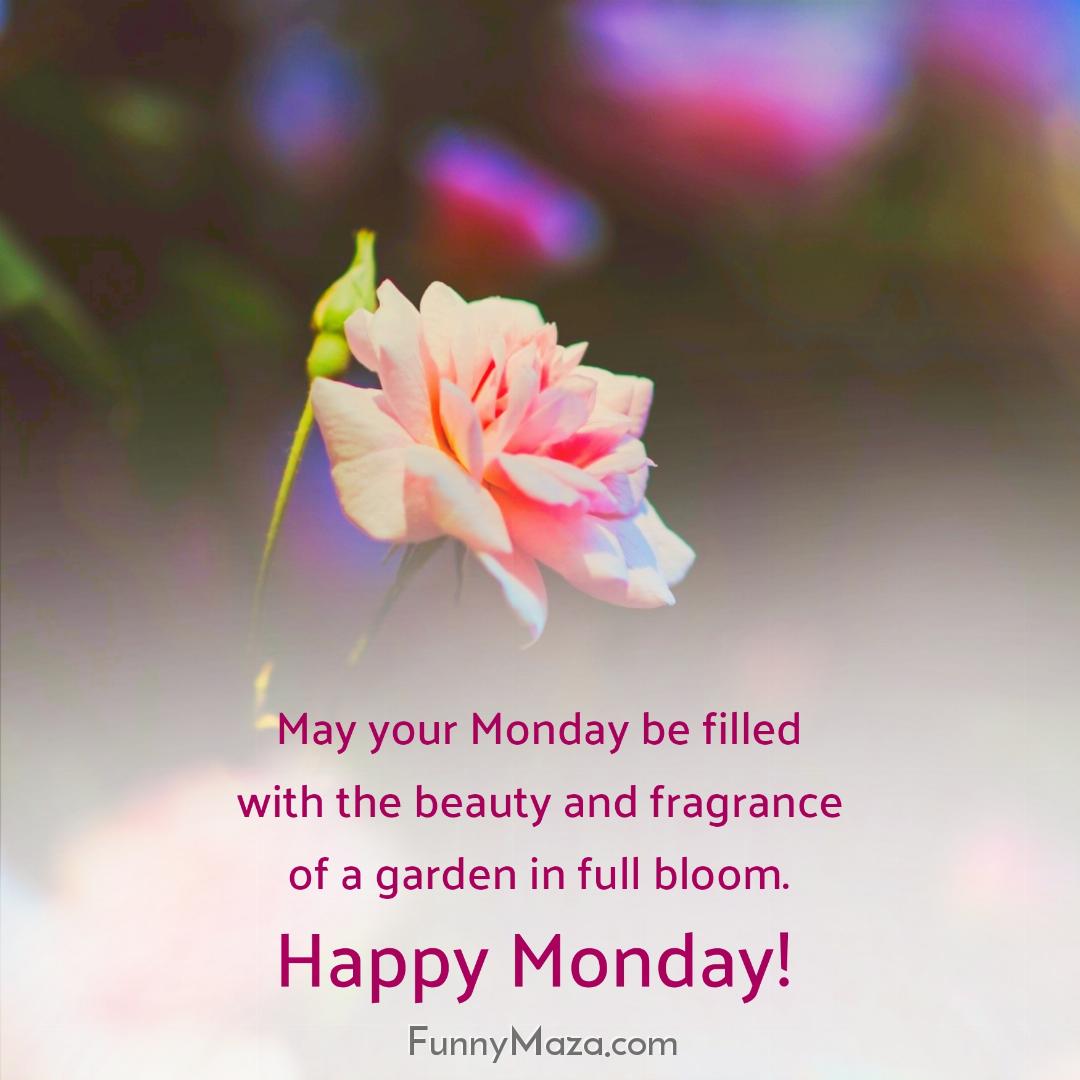 May your Monday be filled with the beauty and fragrance of