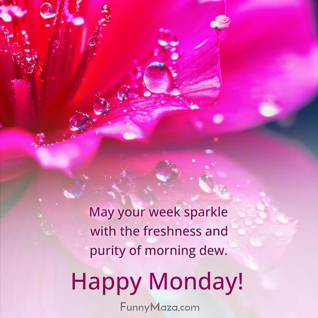 May your week sparkle with the freshness and purity of morning