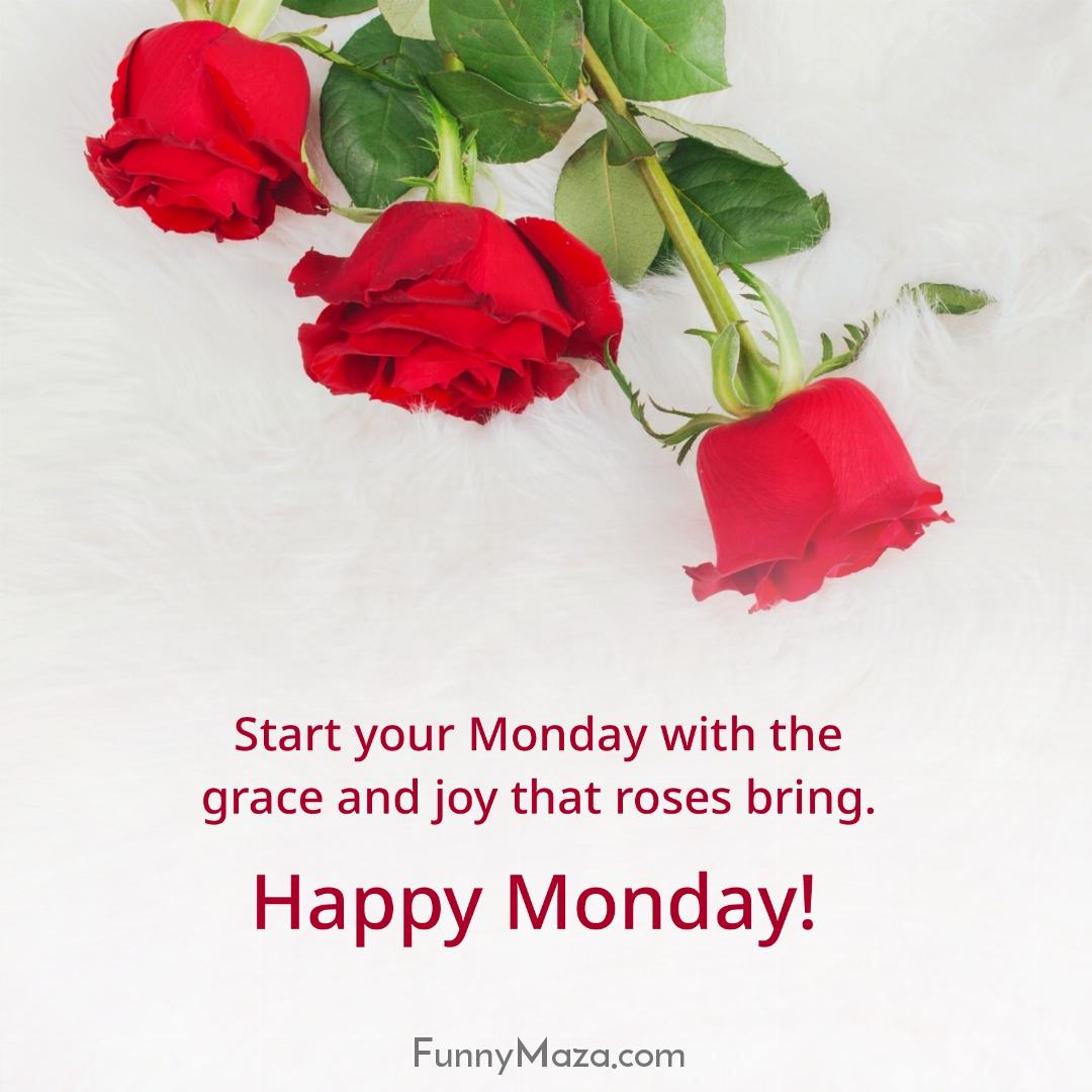 Start your Monday with the grace and joy that roses bring