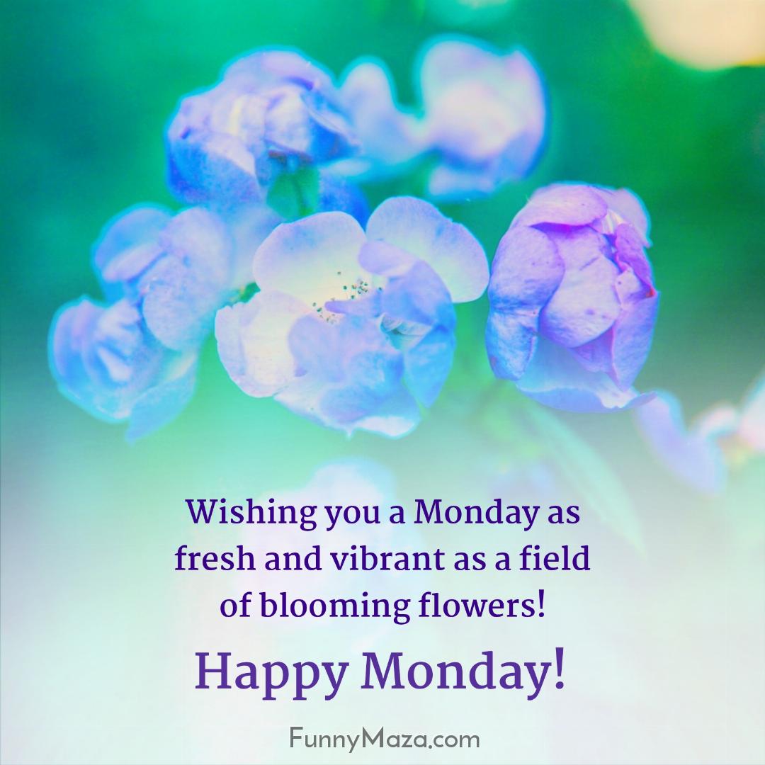 Wishing you a Monday as fresh and vibrant as a field