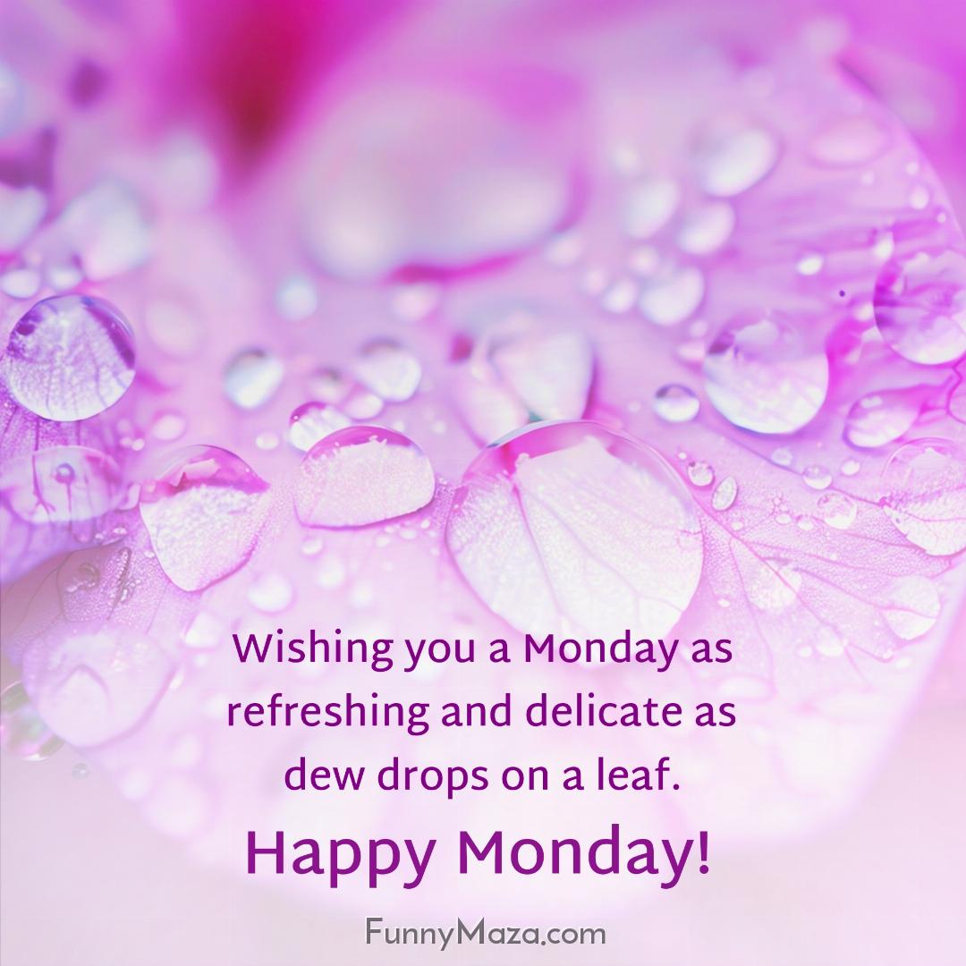 Wishing you a Monday as refreshing and delicate as dew drops