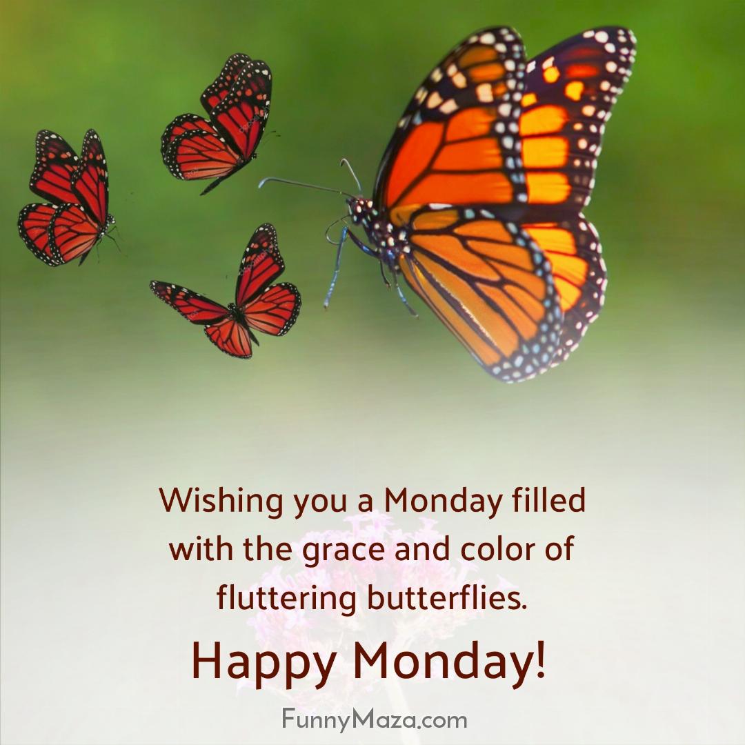 Wishing you a Monday filled with the grace and color of